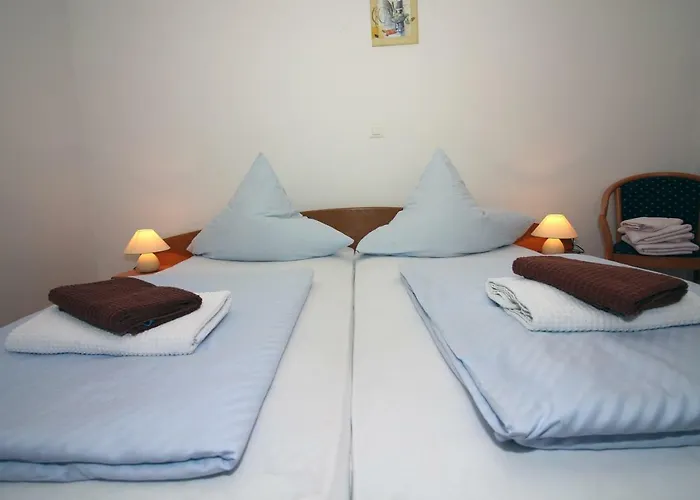 Amado/lozic * زادار